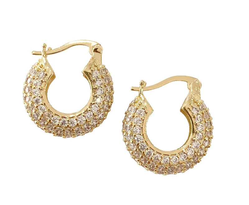 Ladies crystal earrings-Julie Hoop